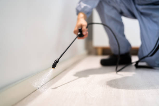 Licensed Pest Control service in Warm Mineral Springs, FL - Nex Pest Control