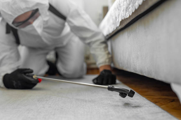 Professional Pest Control technician working in Warm Mineral Springs, FL