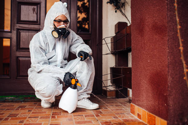 Reliable Rodent Control contractor in Warm Mineral Springs, FL by Nex Pest Control