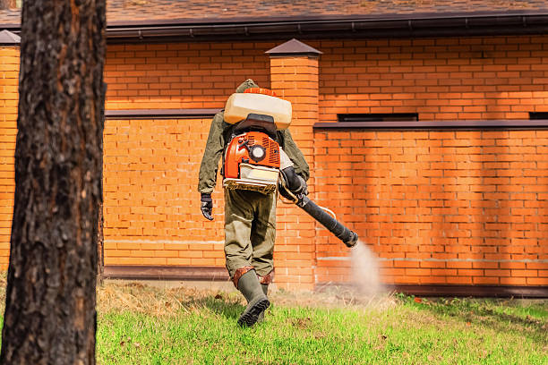 Trusted Fumigation Services service in Warm Mineral Springs, FL - Nex Pest Control